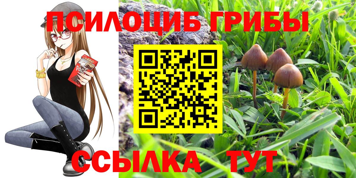 Галлюциногенные грибы Psilocybine cubensis Павловский Посад