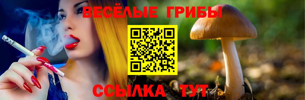 А ПВП Павловский Посад